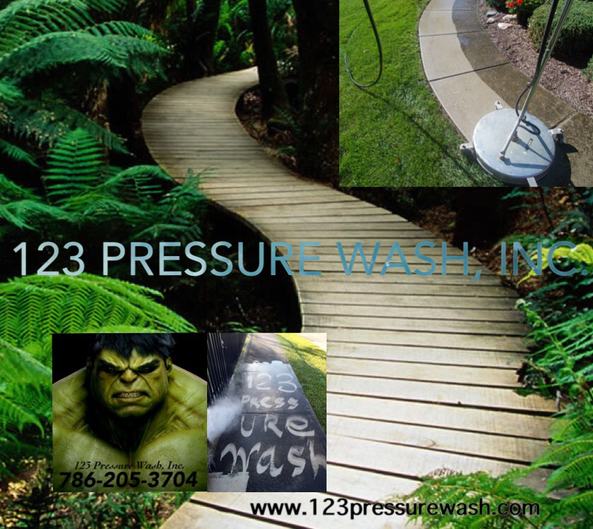 123 Pressure Wash, Inc. logo