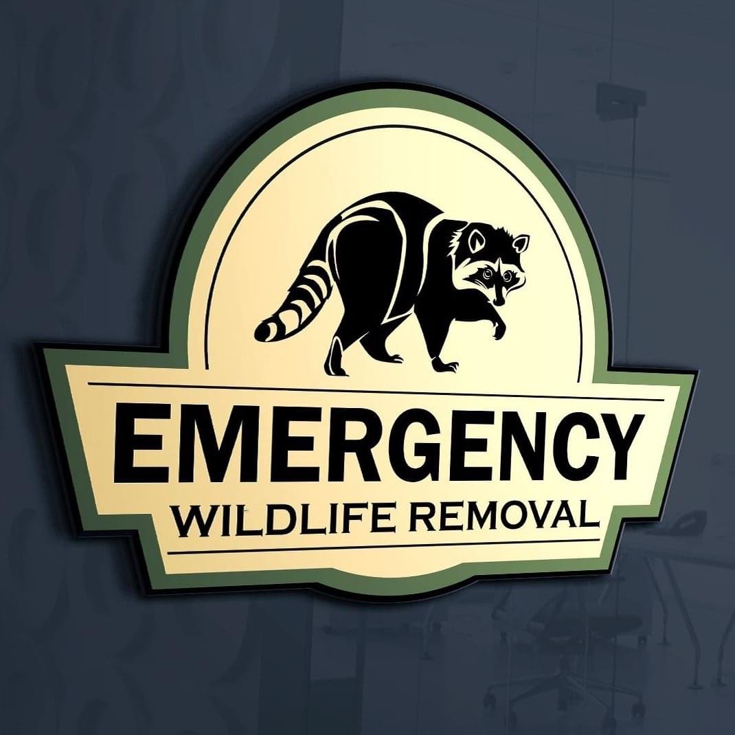 Avatar for Emergency Wildlife Removal