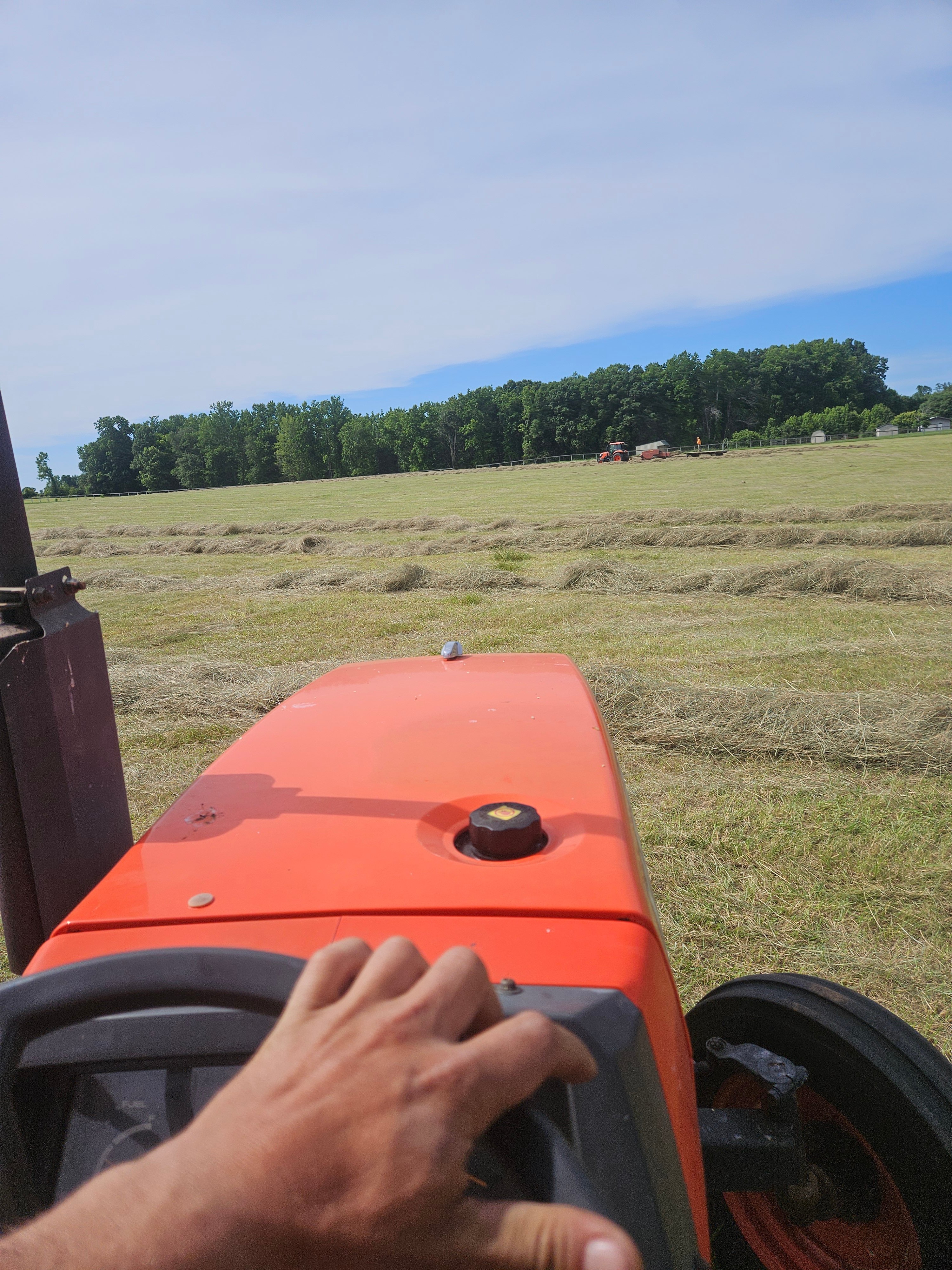 Avatar for Cardinal lawn