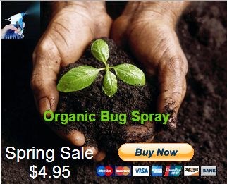 Avatar for Dana DeCecco