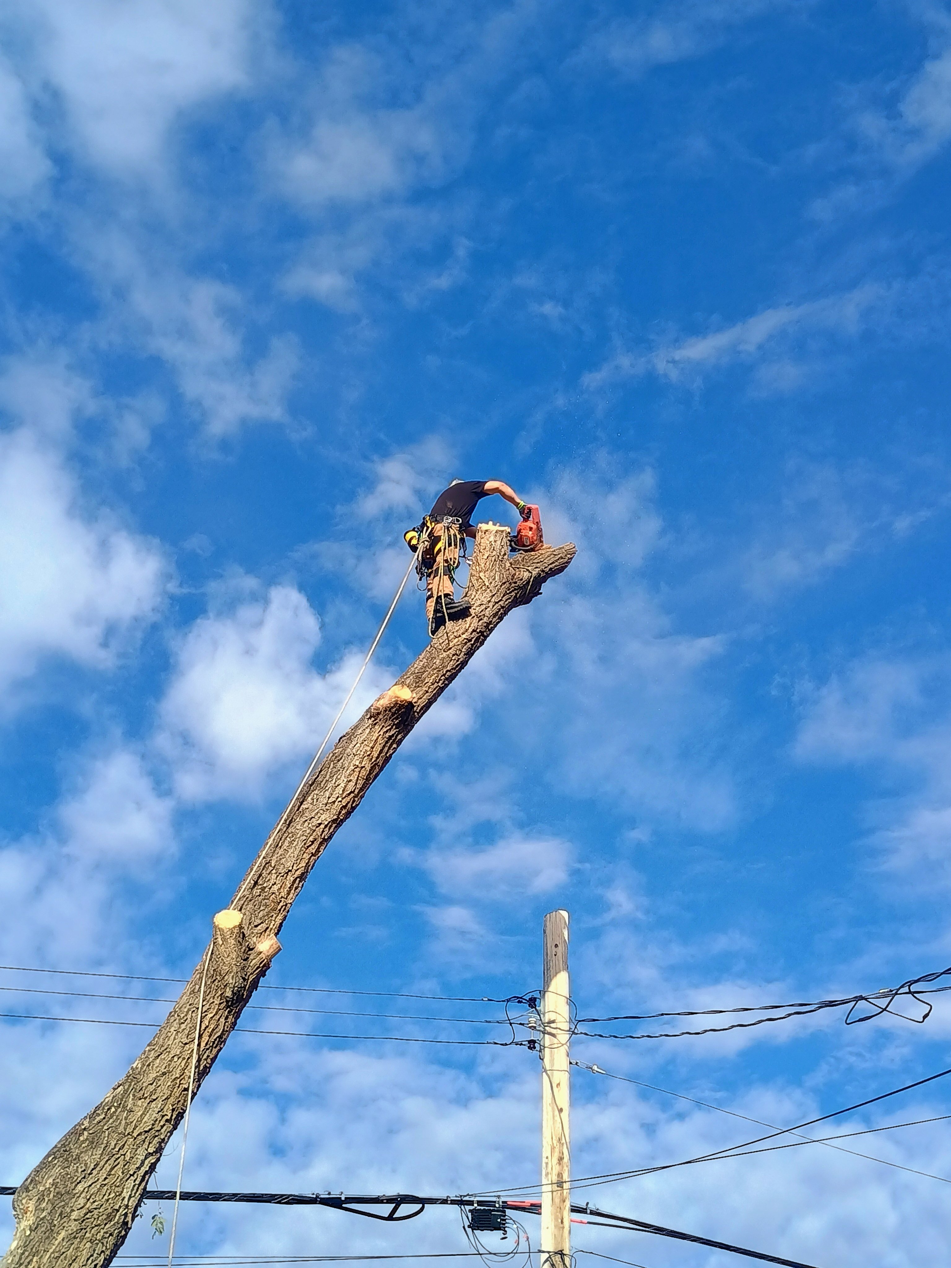 Avatar for Brandon Morrell