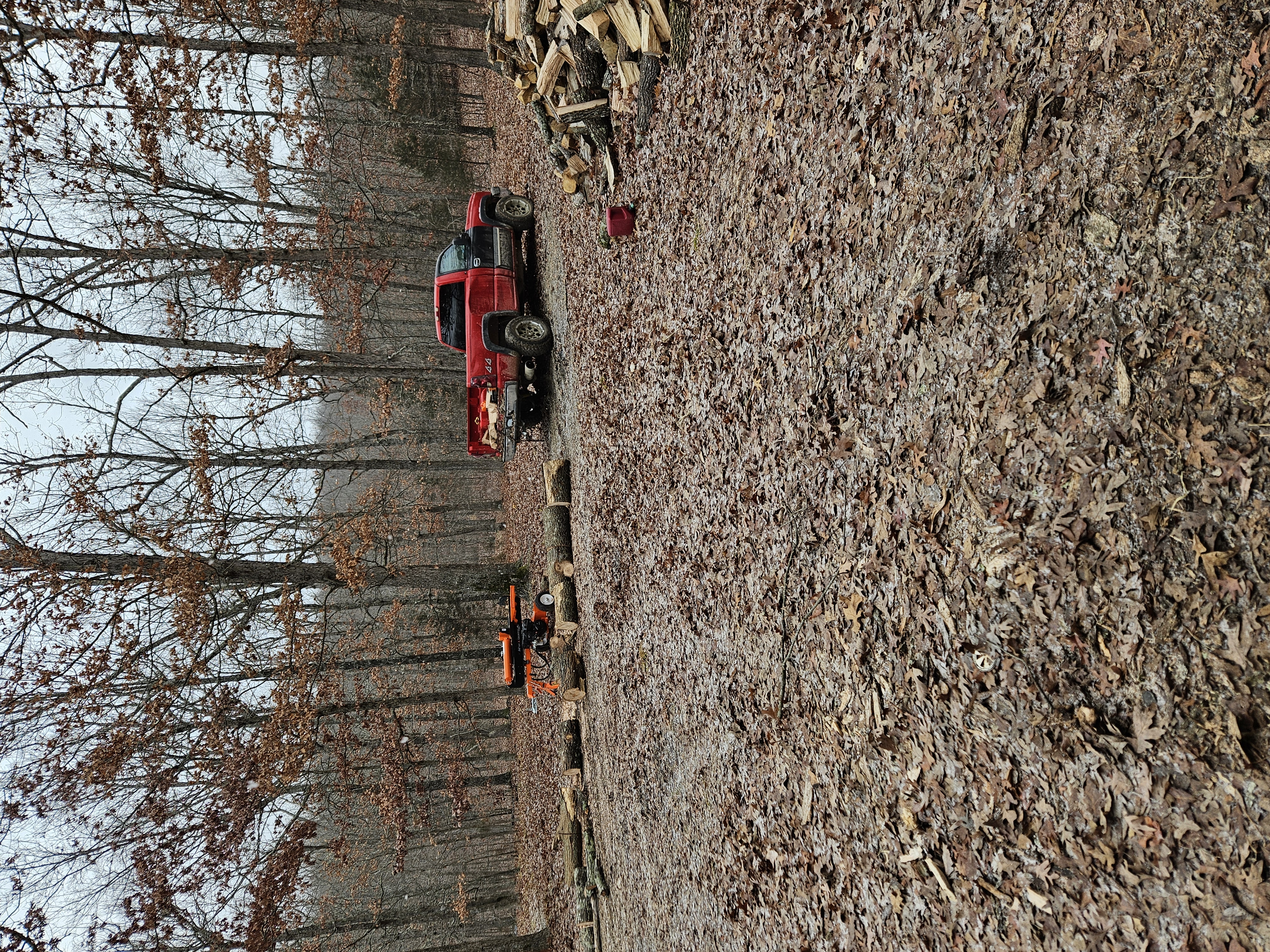 Avatar for Letterman tree service