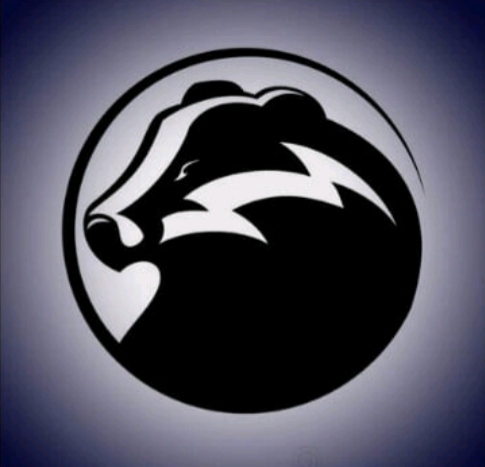 Avatar for BADGER PLUMBING HEATING & MECHANICAL INC.