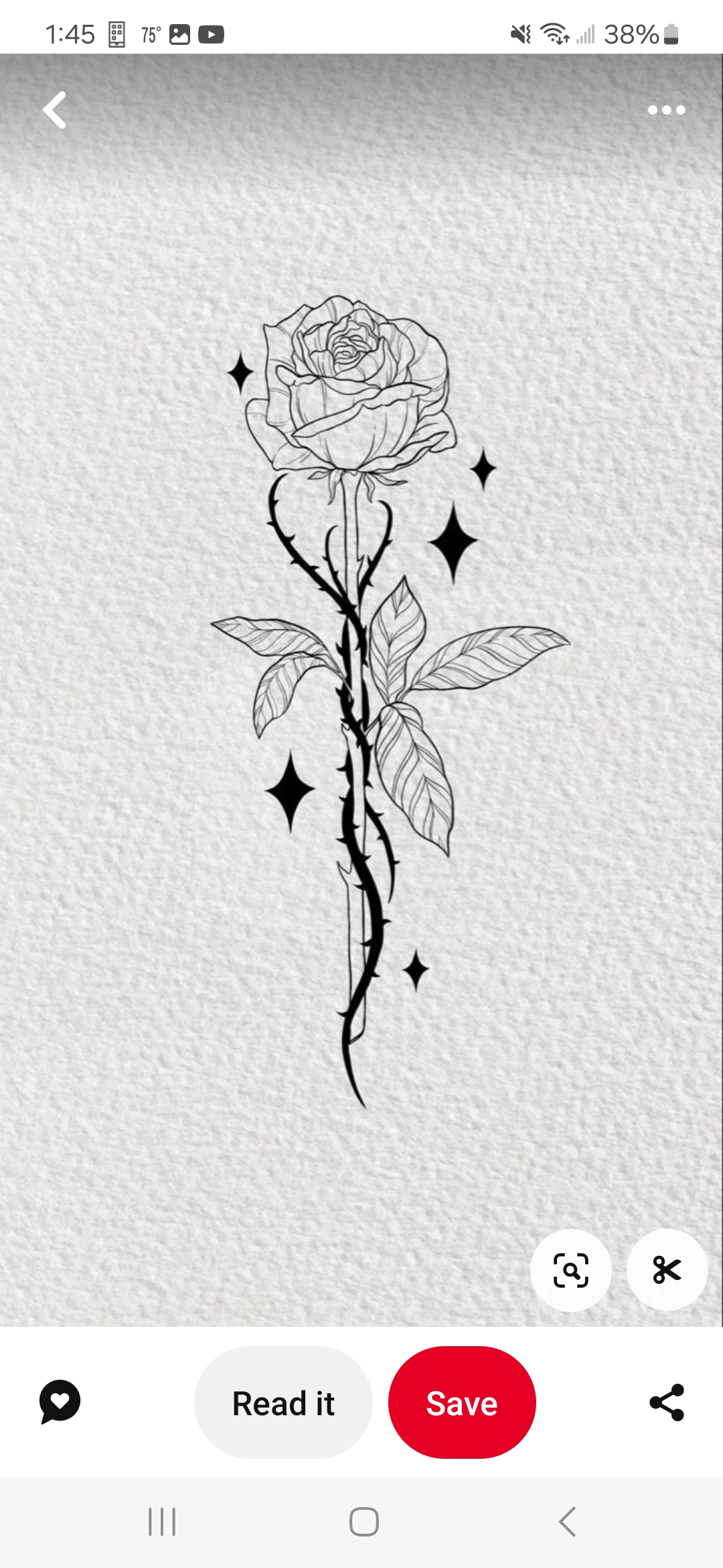 Avatar for Colors by clark