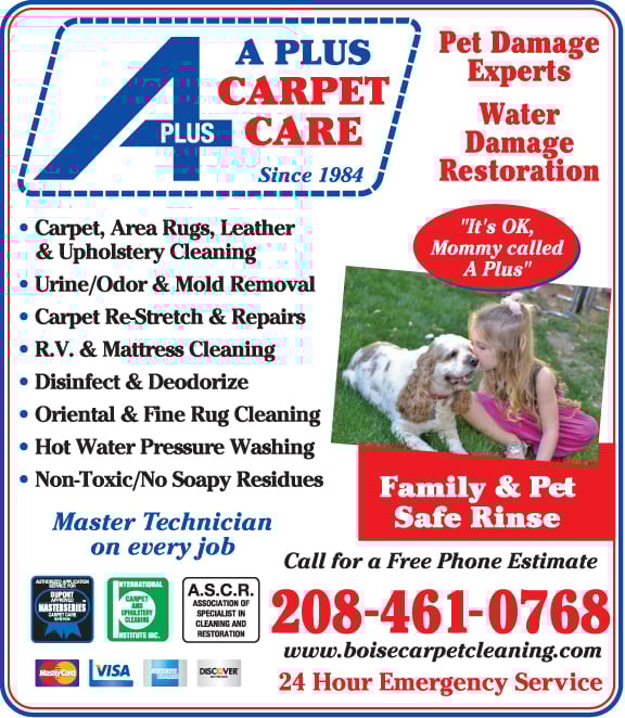 Avatar for A Plus Carpet Care