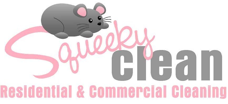 Squeeky Clean logo