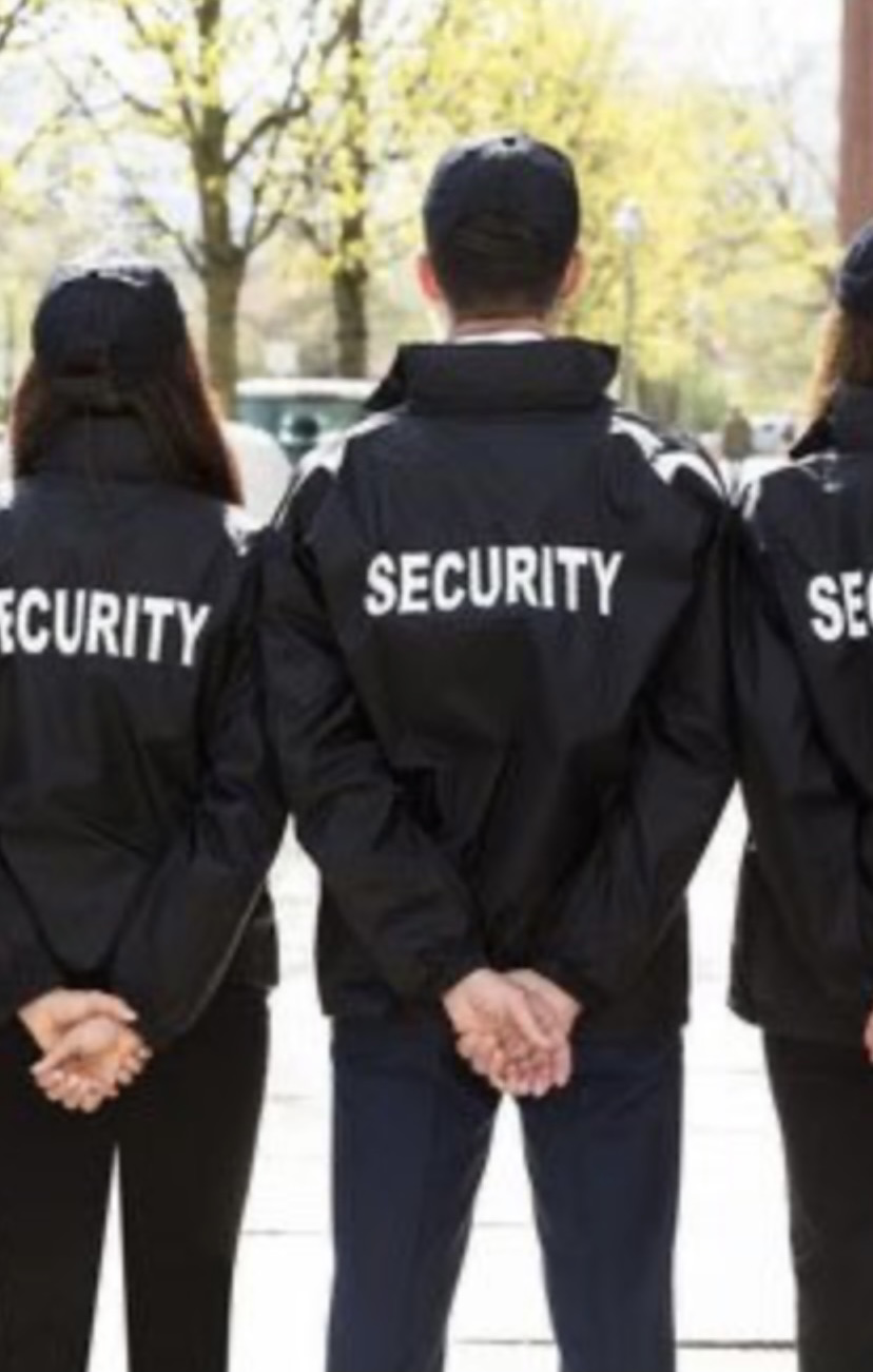 Top Notch Security logo
