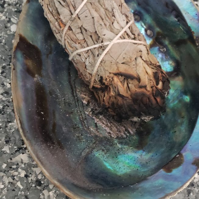 Logo for Tranquil home