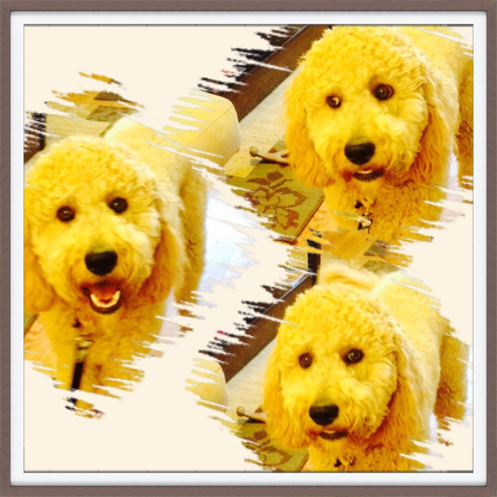 Cute Topper
