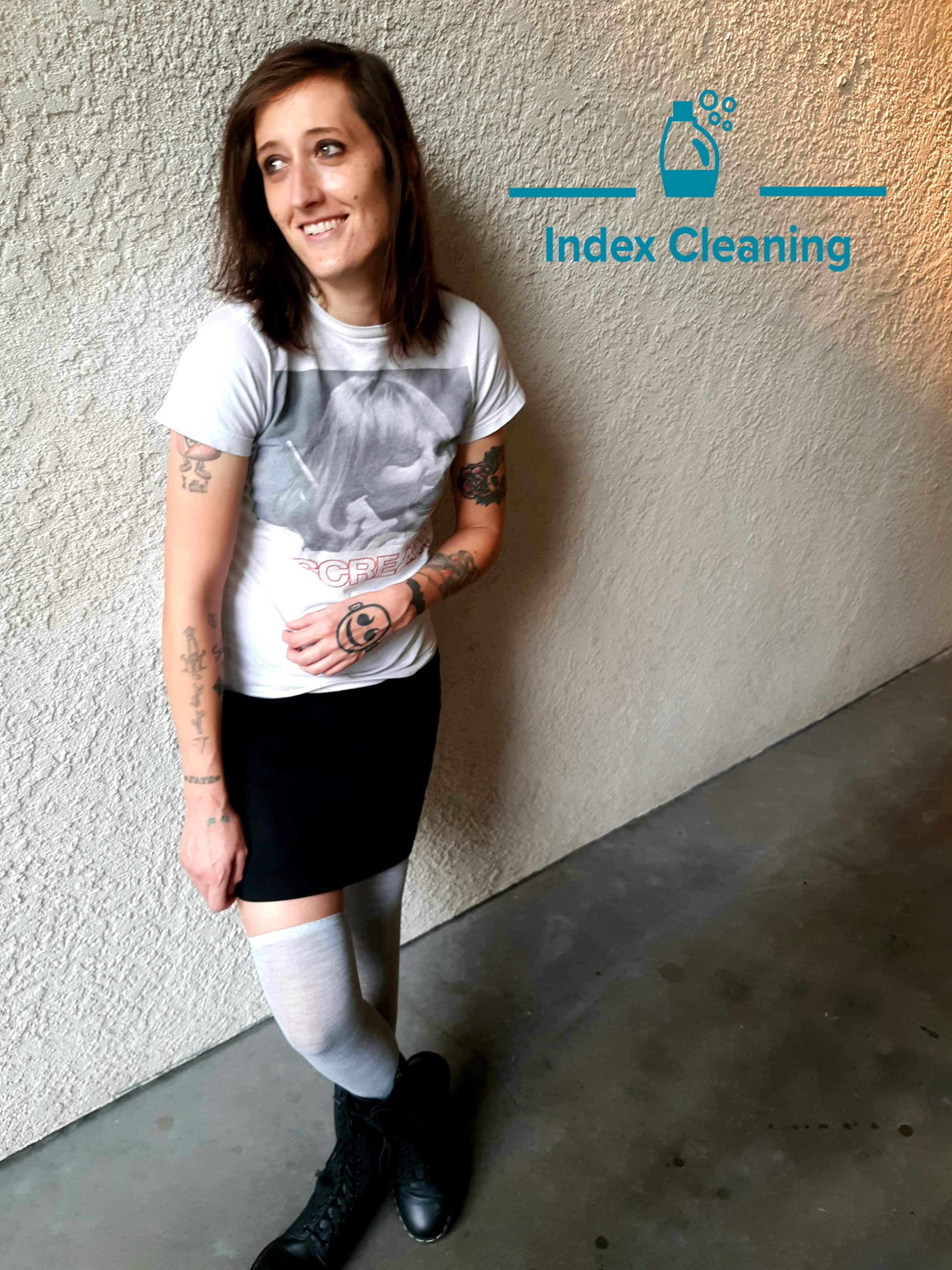 Index Cleaning logo
