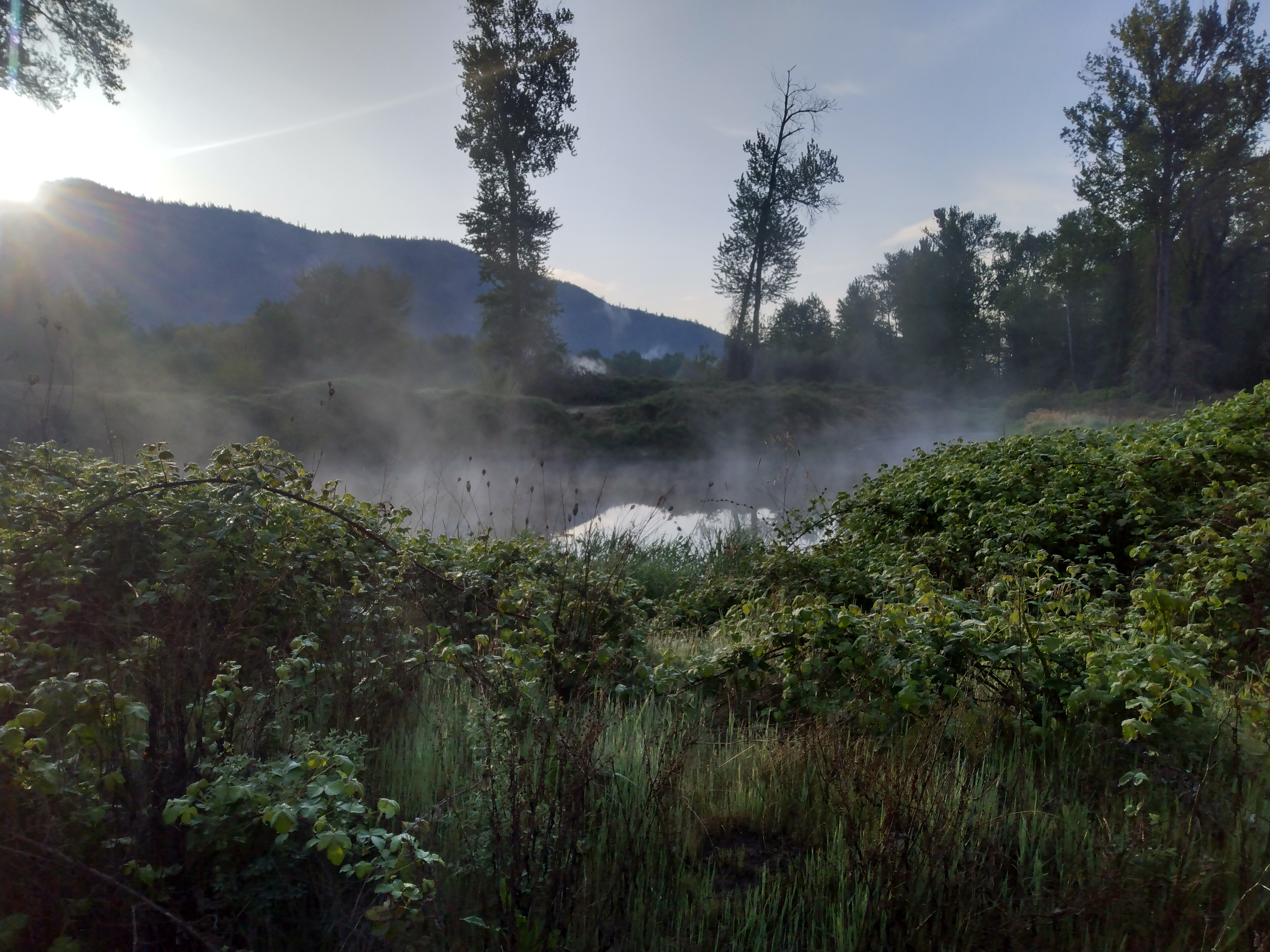 Avatar for Jared Sexsmith