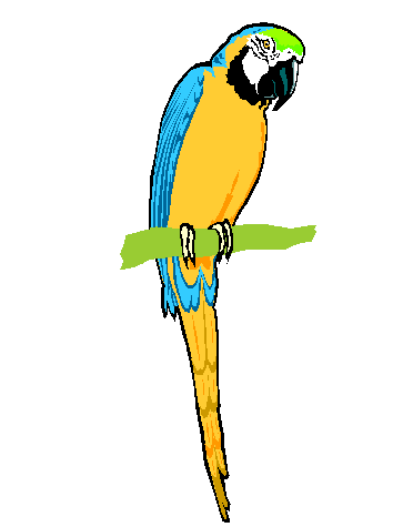 Avatar for Macaw Lawn & Landscaping