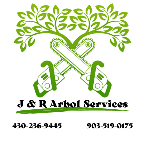 Avatar for J & R Arbol Services