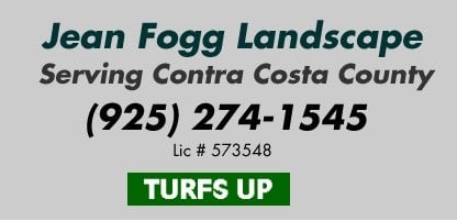 Avatar for JEAN FOGG LANDSCAPE SVC