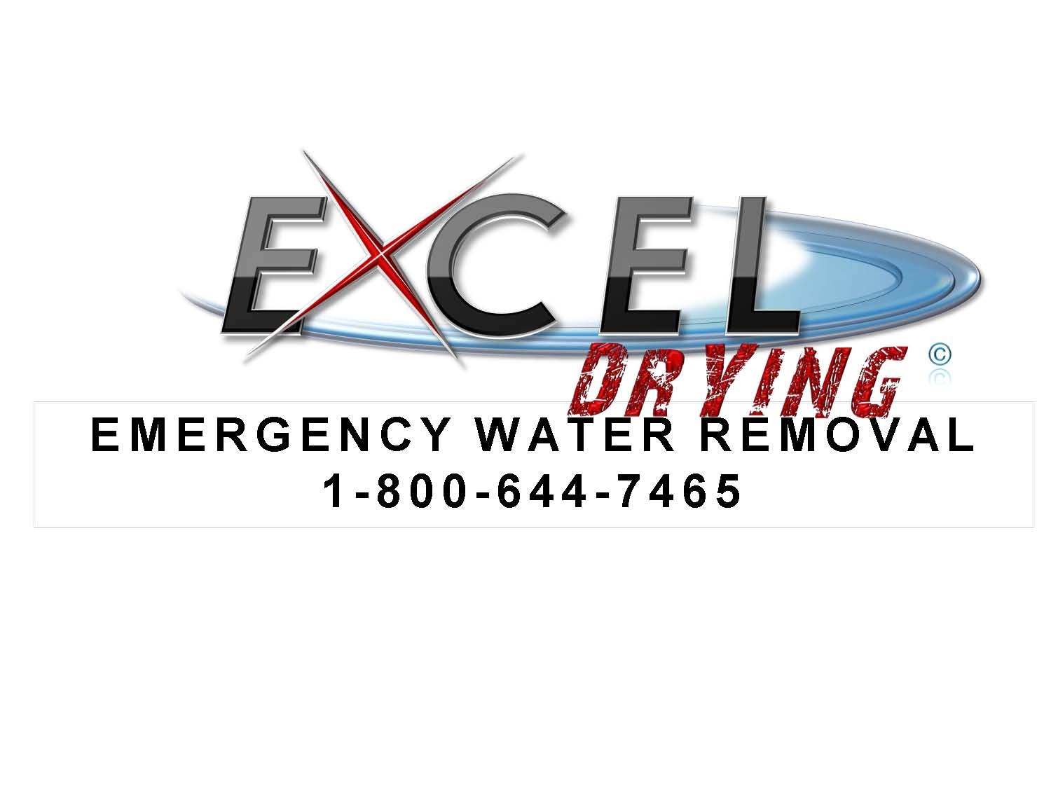 Avatar for EXCEL CLEANING & RESTORATION