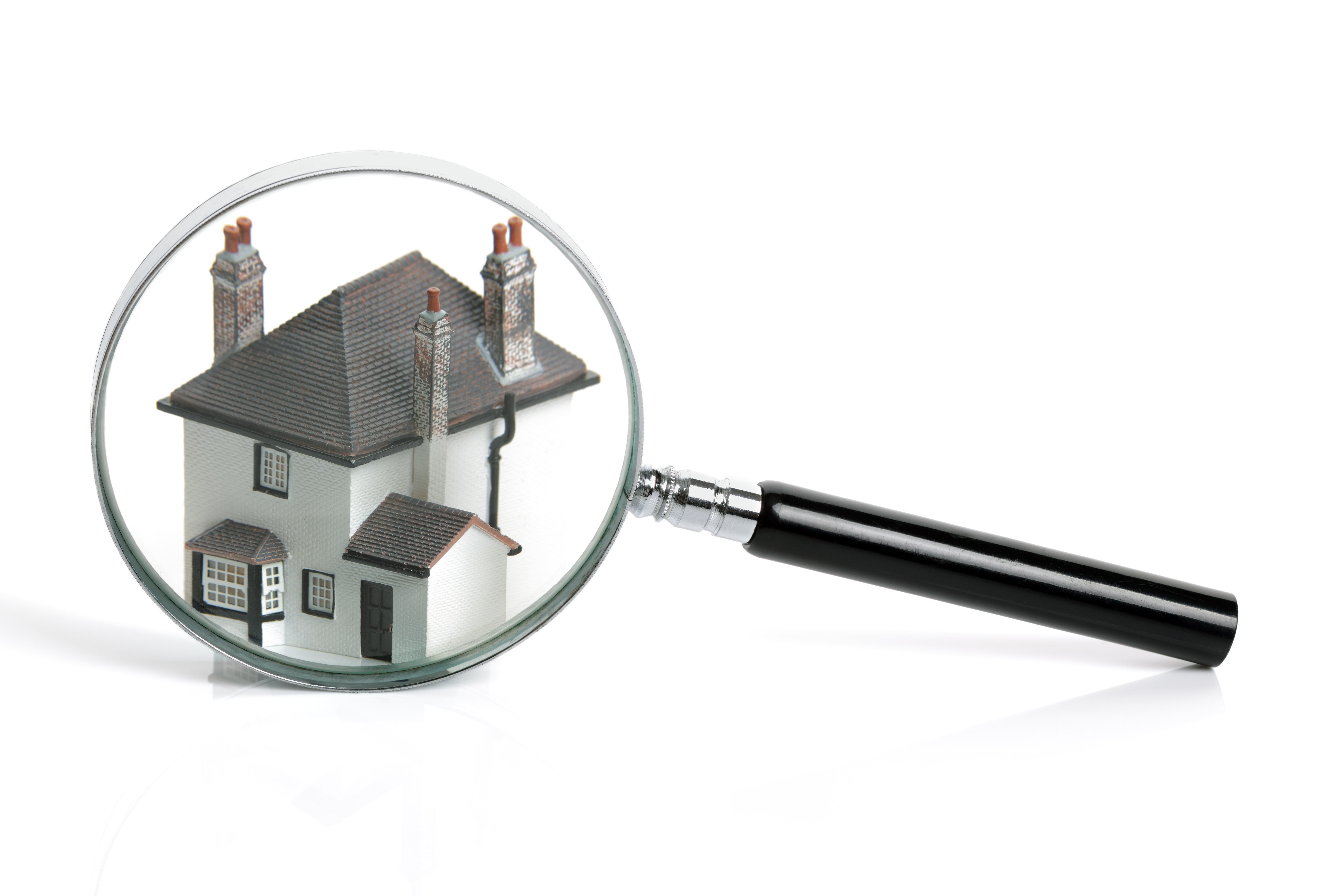 Avatar for Lee Inspection & Testing