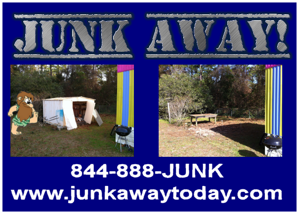 Storage Shed Removal