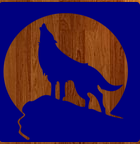 Avatar for Blue Wolf Chimney - Sweeping, Repair, Relining, Dryer Vents