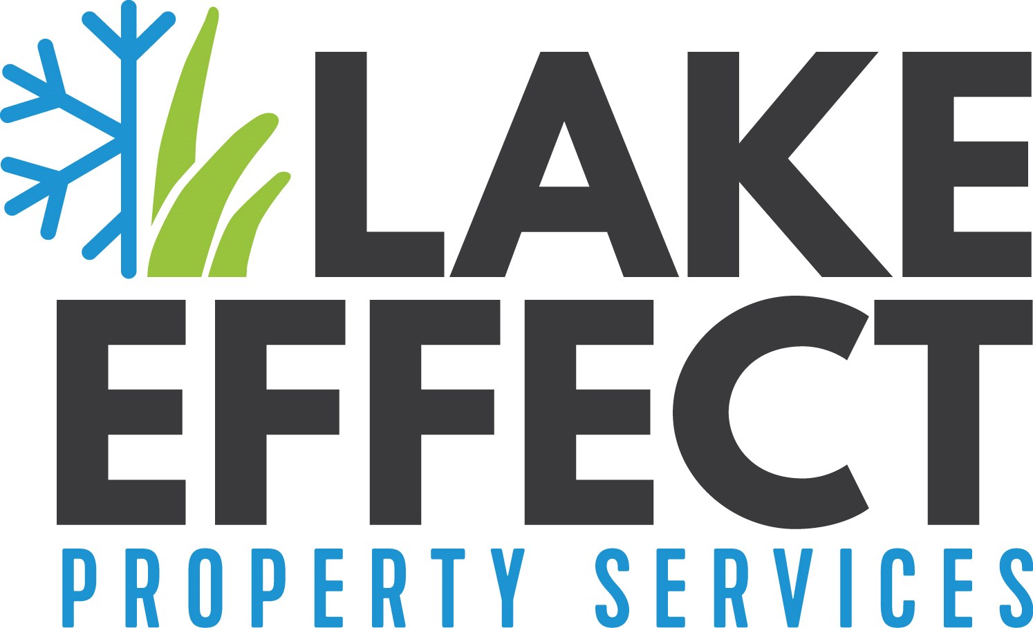 Avatar for Lake Effect Property Services