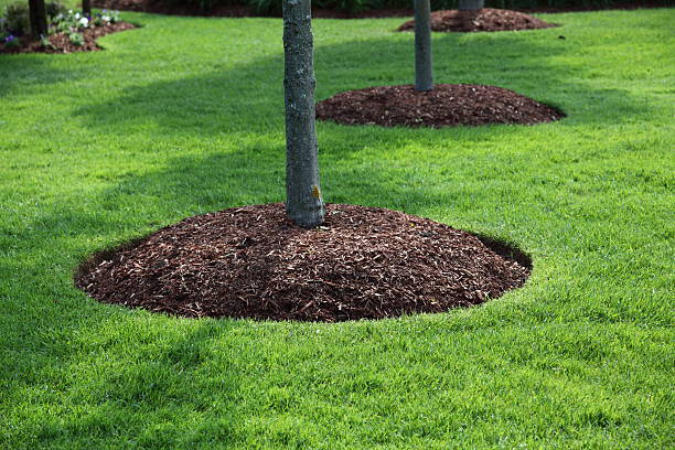 Avatar for GREEN SPACE Landscaping