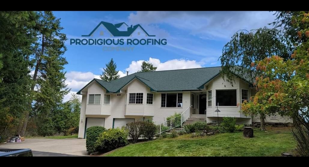 Avatar for Prodigious Roofing