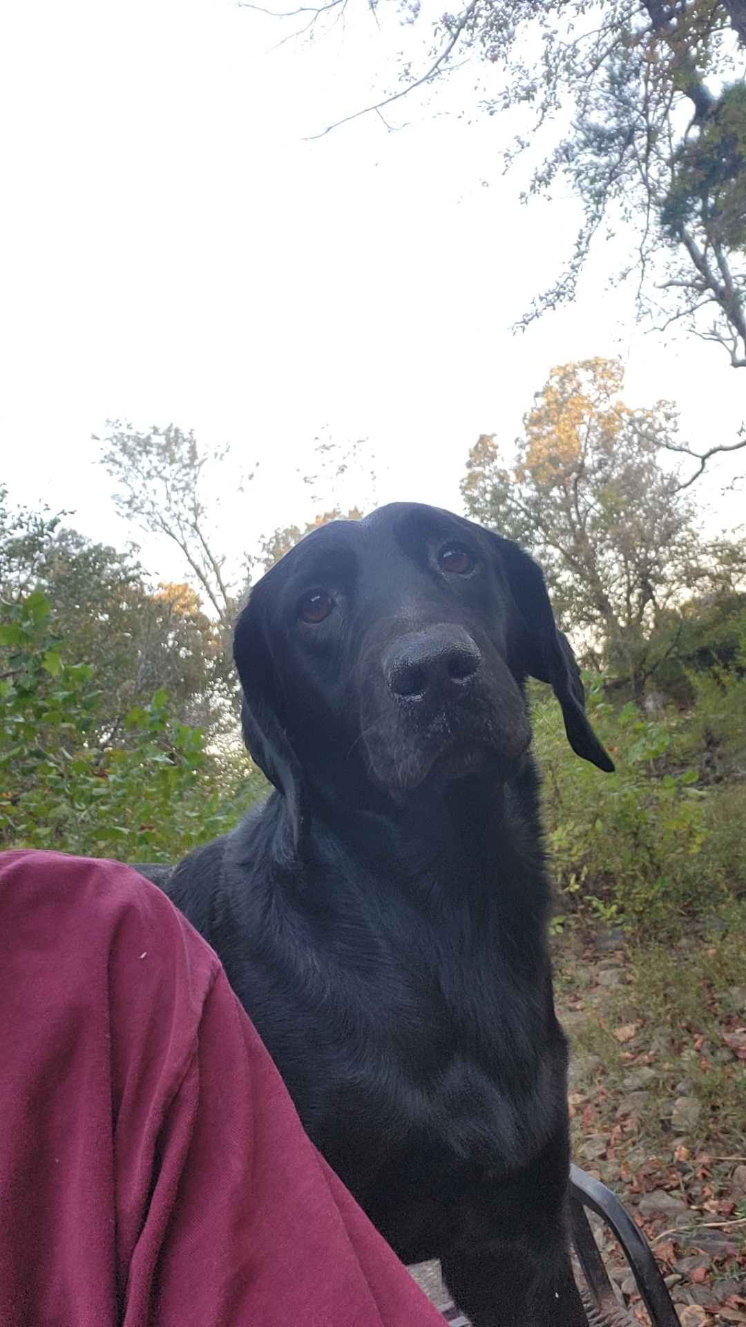 Avatar for Calebs dumptrailer rental