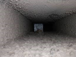 Avatar for David Community Home Improvement