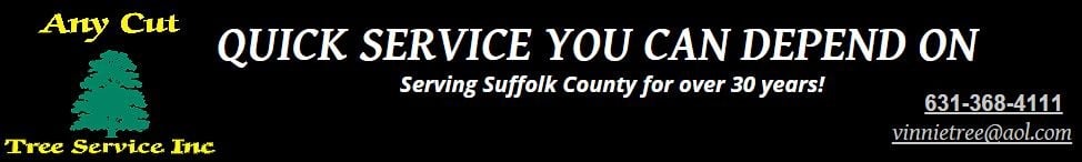 Any Cut Tree Service Inc logo