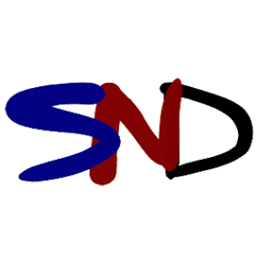 System Network and Design logo