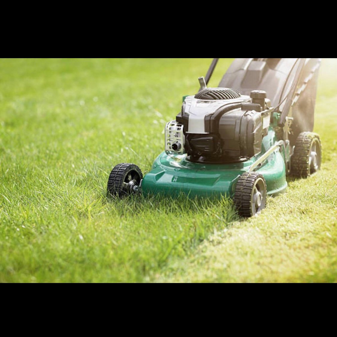 Avatar for Local Lawn Care 262