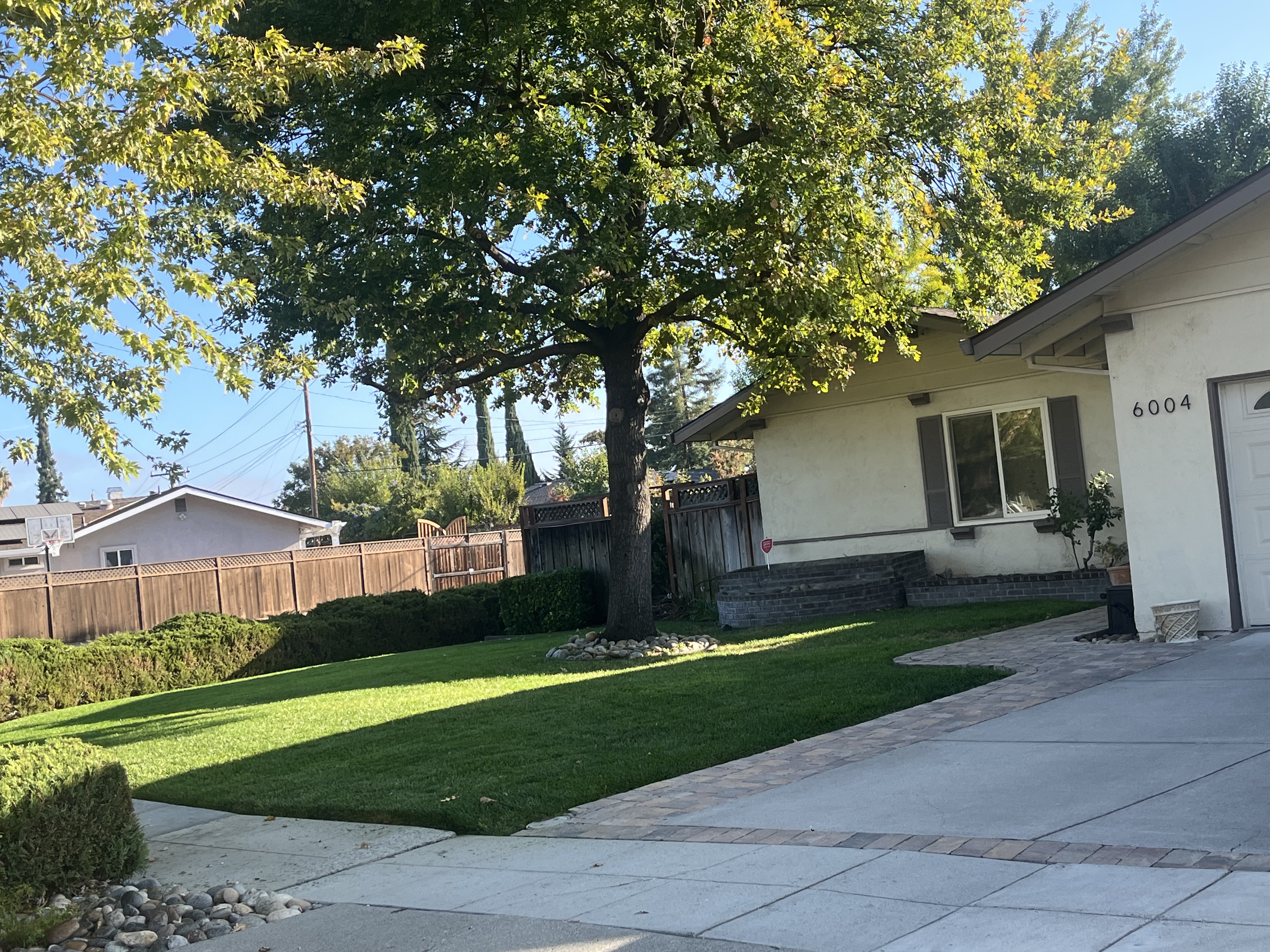 Avatar for Bolanos Lanscaping