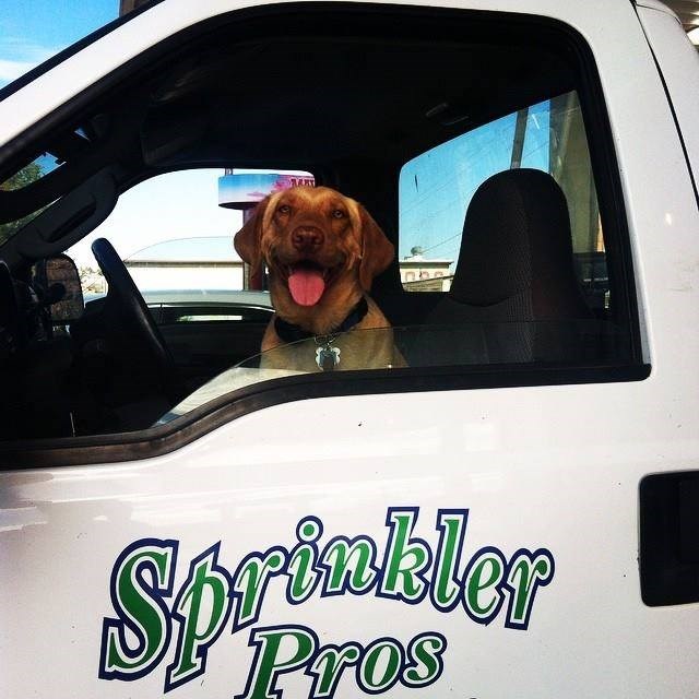 Avatar for Sprinkler Pros