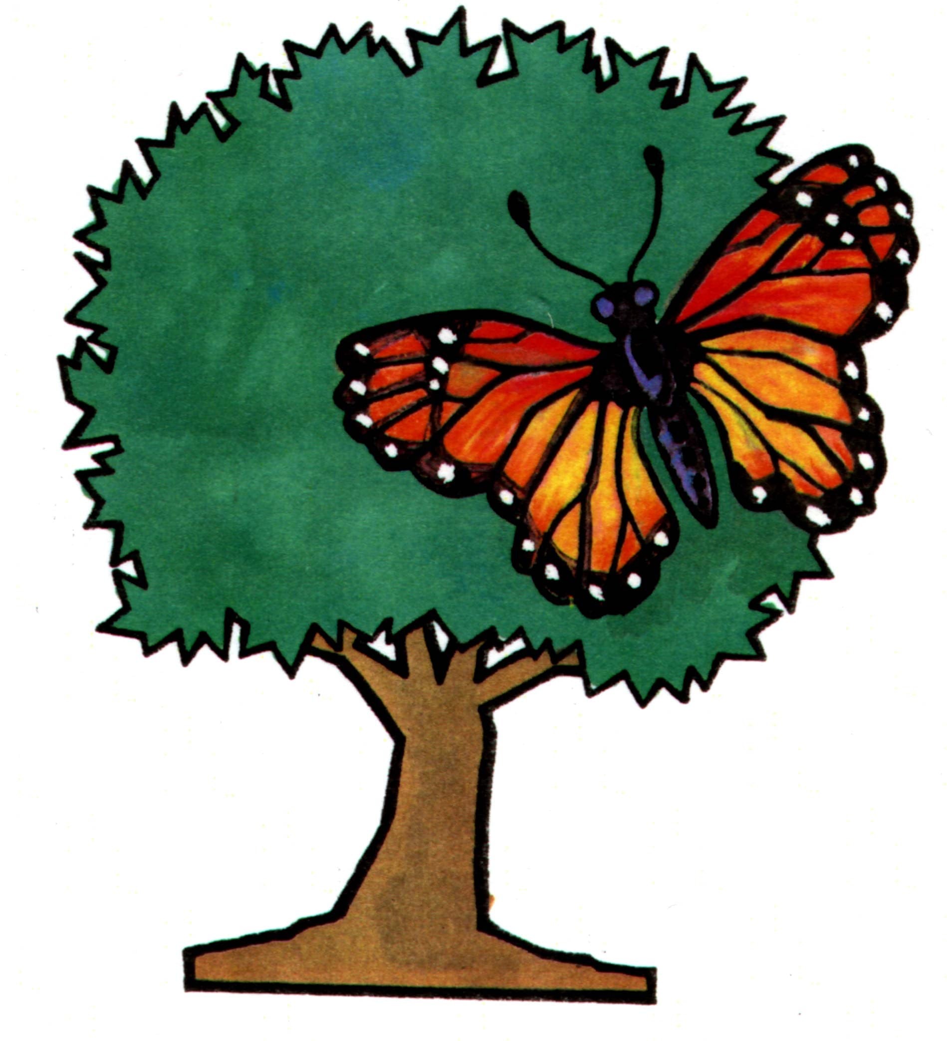 Avatar for Metamorphosis Landscaping