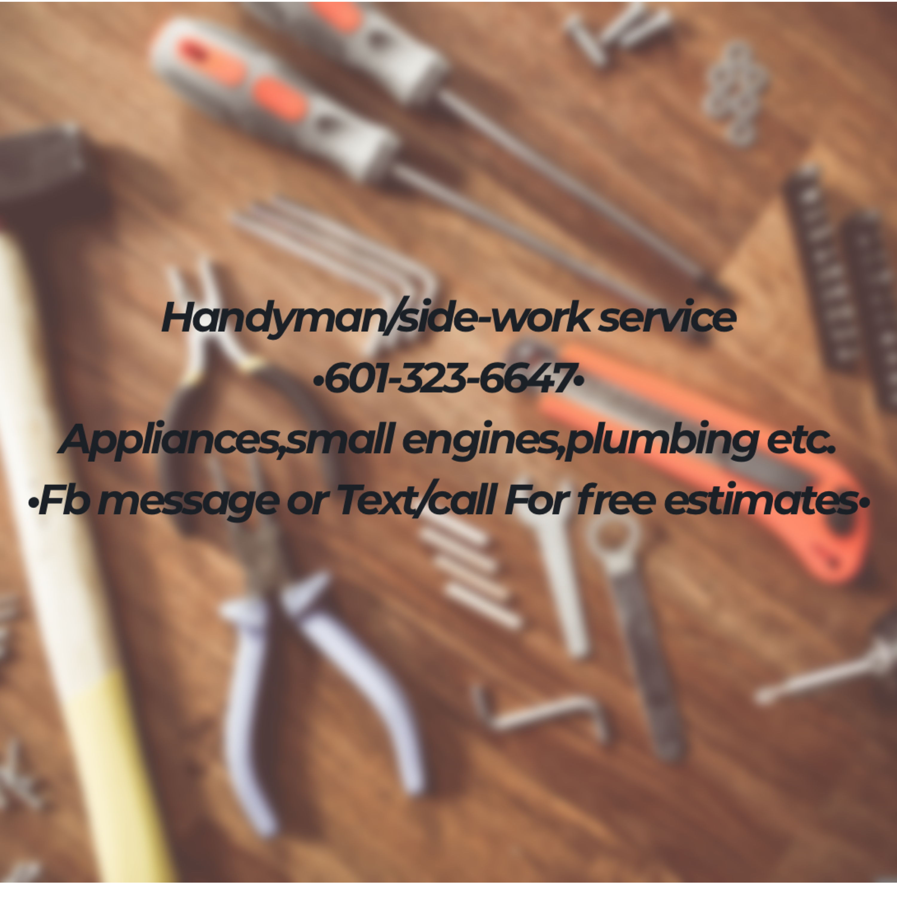 Avatar for Gardner handyman and side work