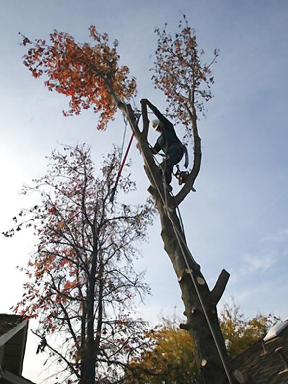 Avatar for H&H services