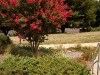 Home Landscaping Inc. logo