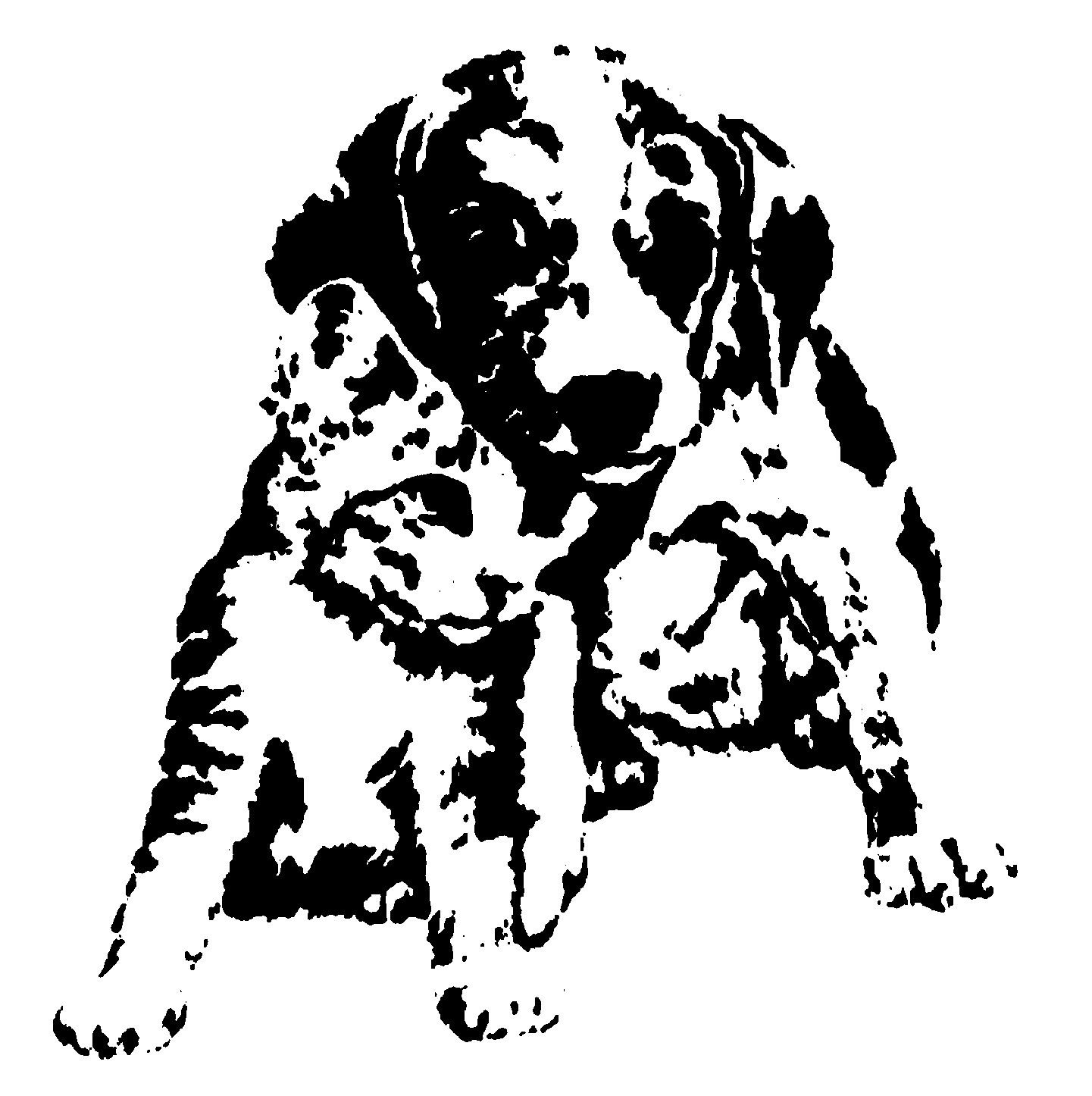 Logo for Arizona Avenue Animal Clinic