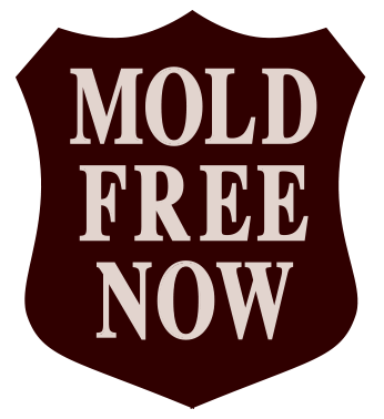 Avatar for Restoration Colorado Roofing