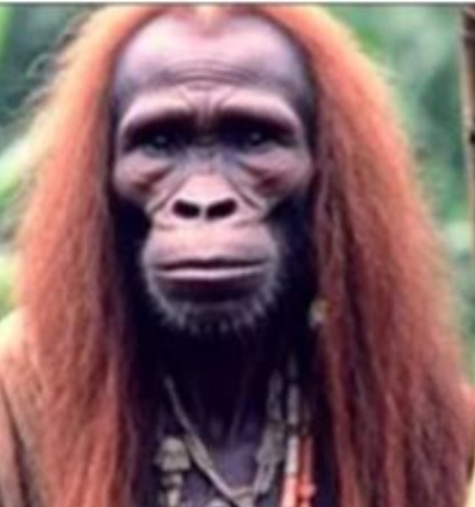 Avatar for Speights Lake Forest Products , LLC