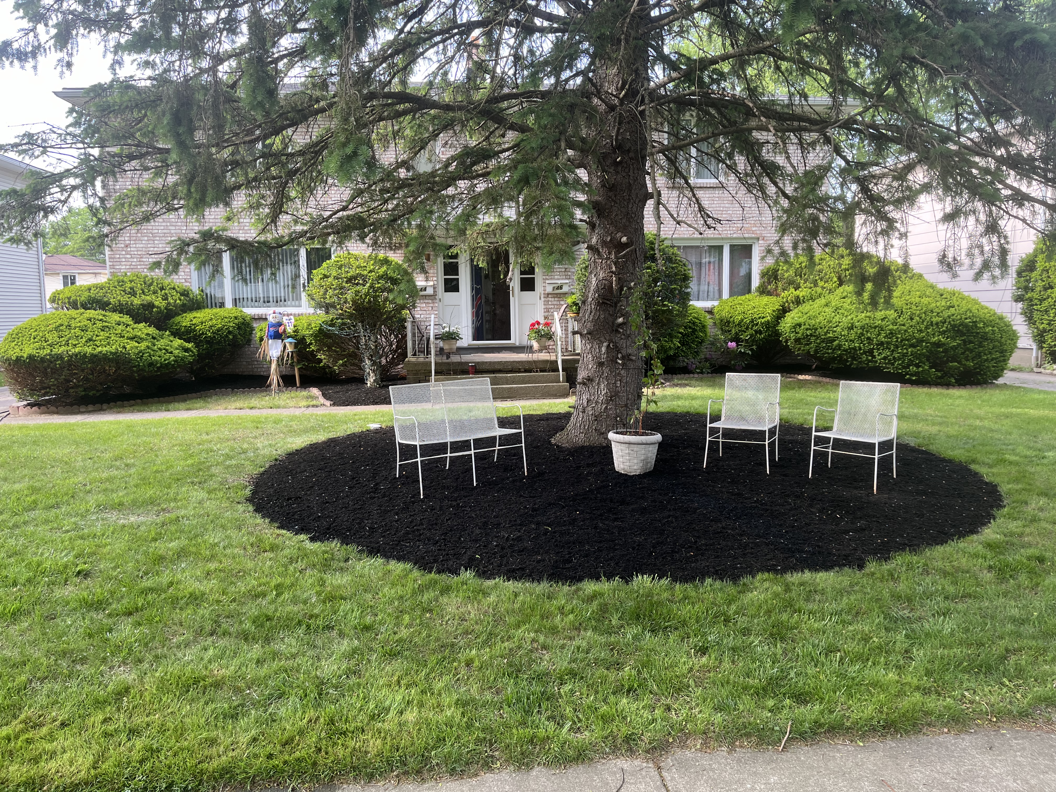 Avatar for Scenic Edge Landscapes 