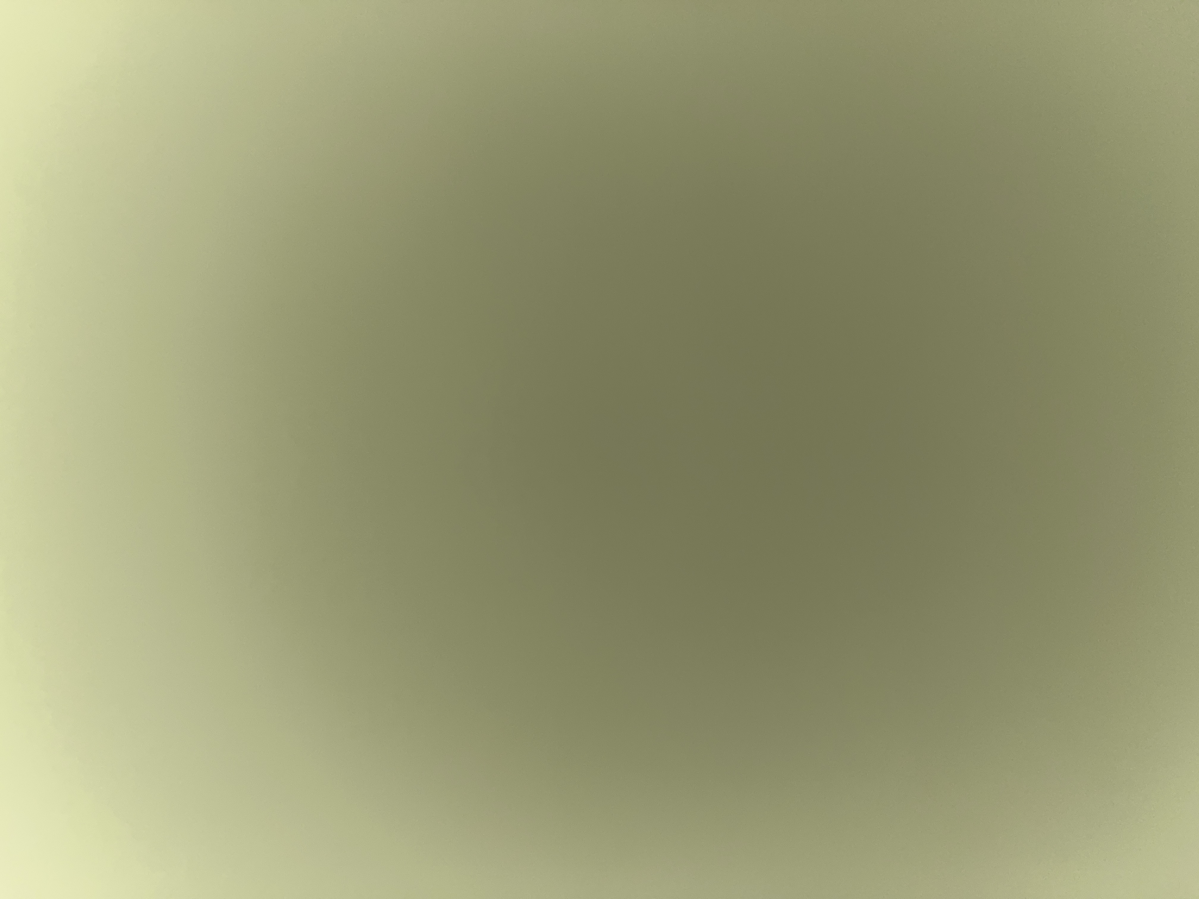 Avatar for Rose’s Clean-ups