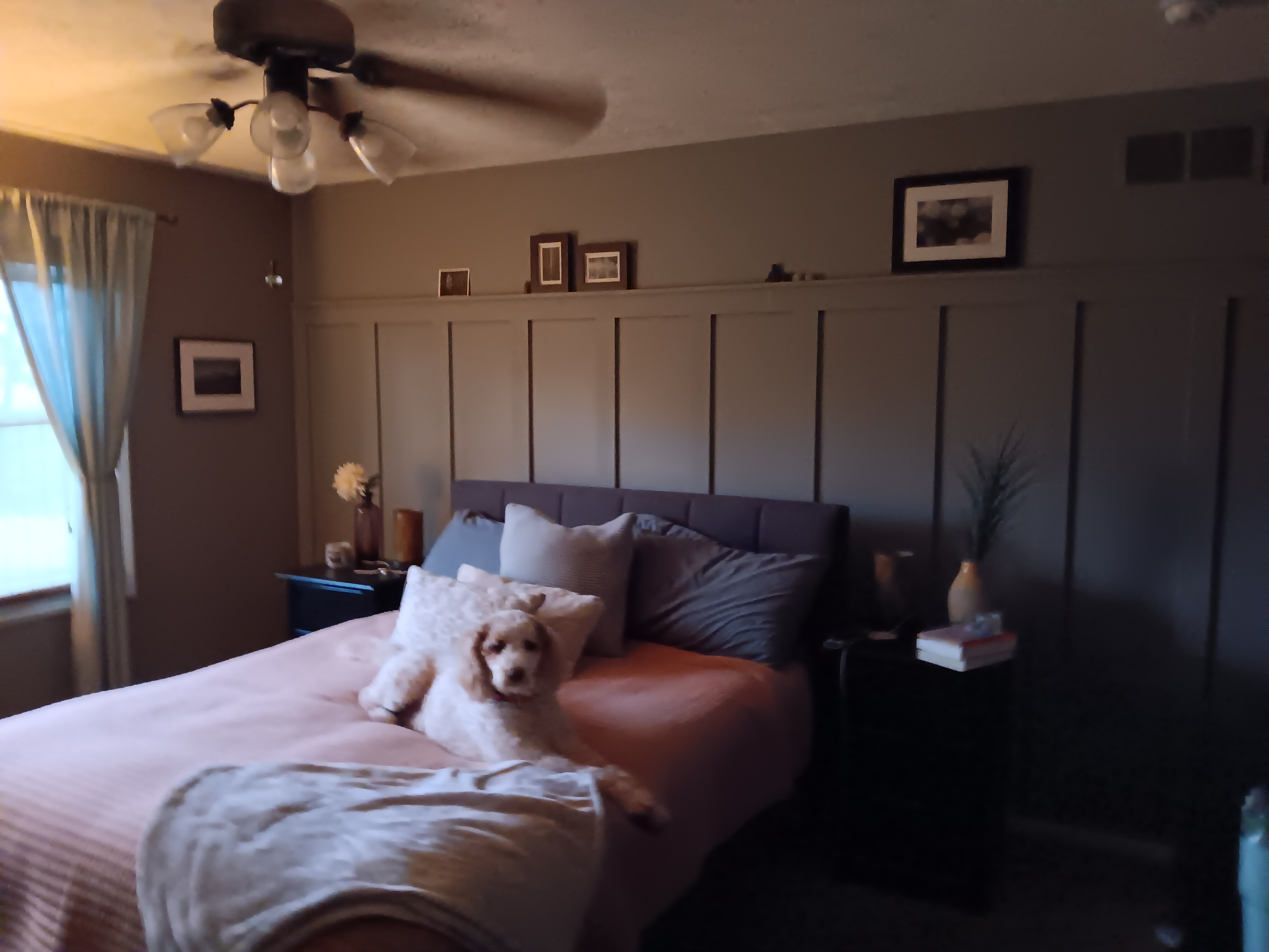 Avatar for Liz Silky Designs