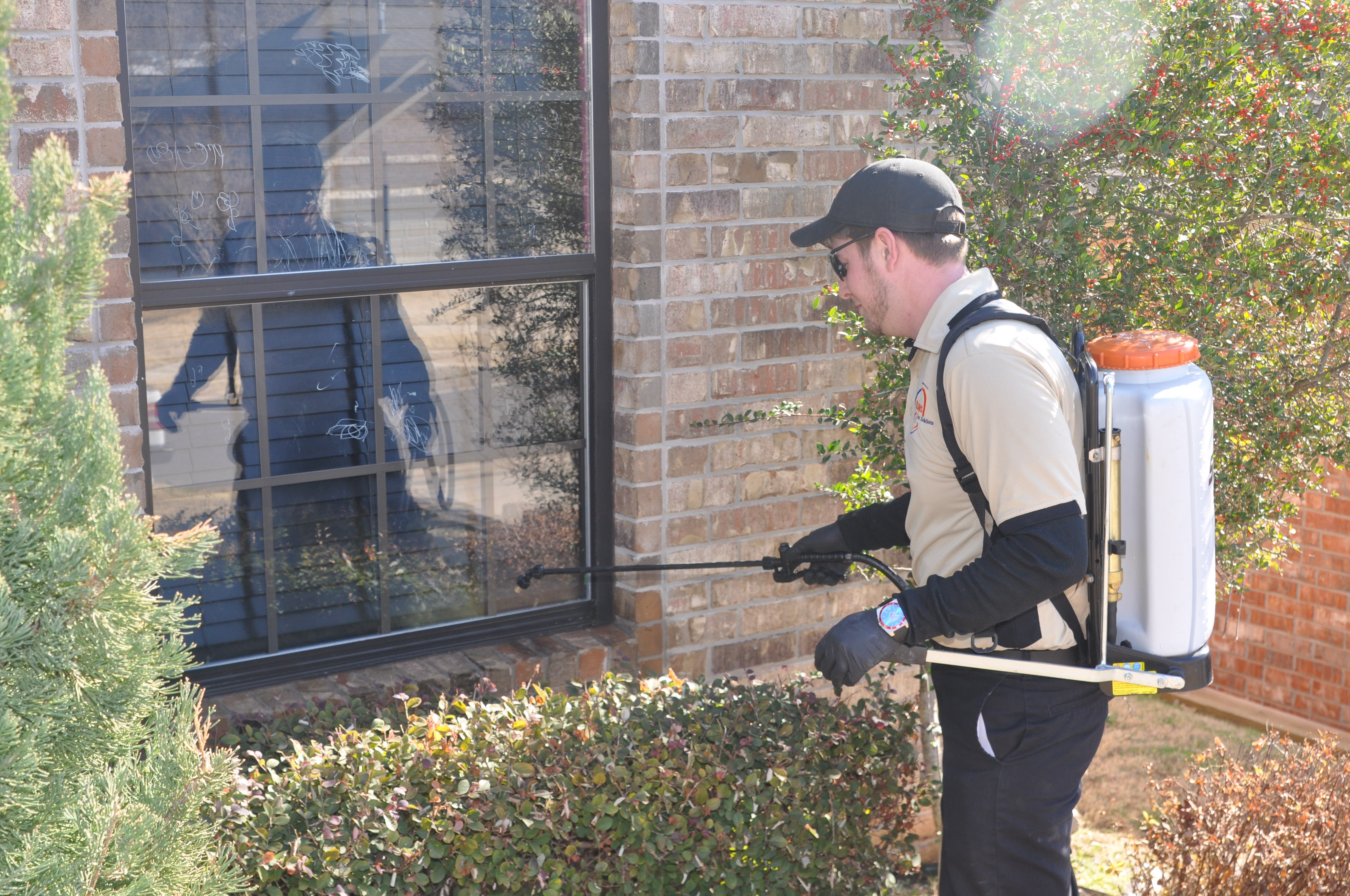 Avatar for Reliance Pest Solutions