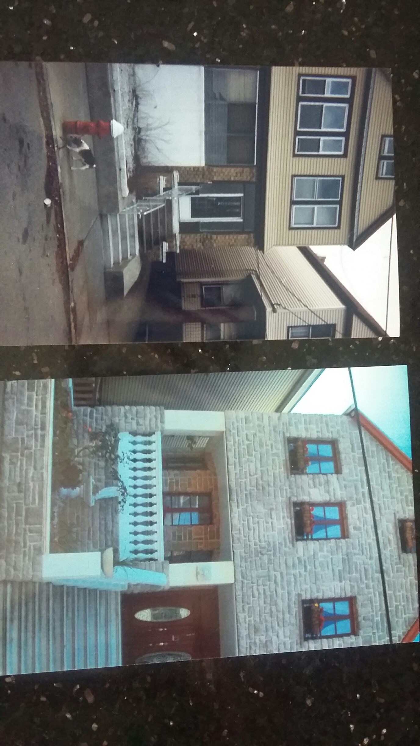 Avatar for The French Renovation