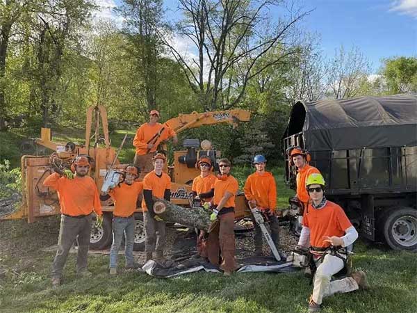 Avatar for Lumberjacks Tree Service LLC