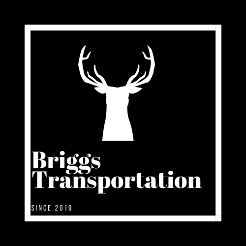 Briggs Transportation Service logo