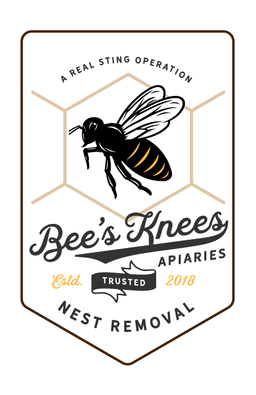 Avatar for Bees Knees Nest Removals