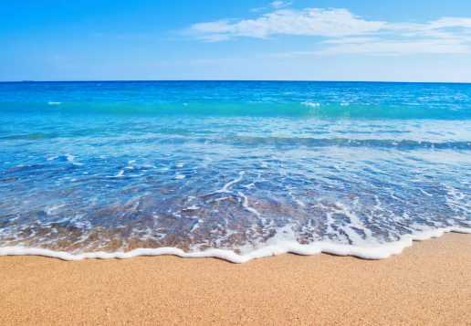 Avatar for The Coastal Handyman LLC