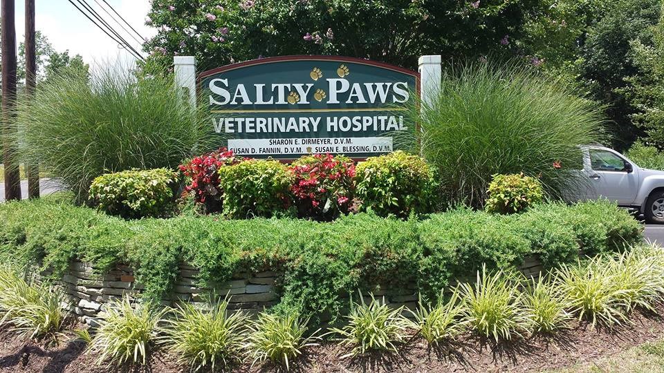 Logo for Salty Paws Veterinary Hospital