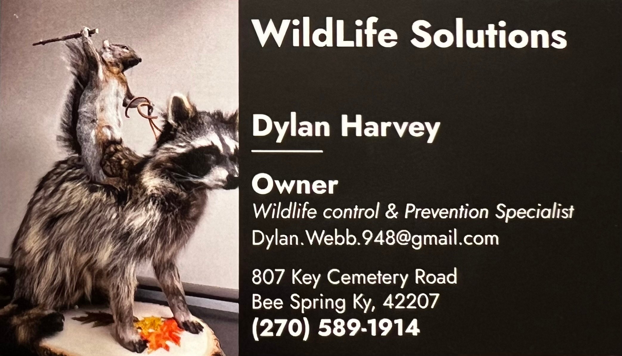Avatar for Wildlife Solutions LLC